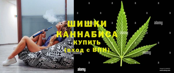 ECSTASY Белокуриха