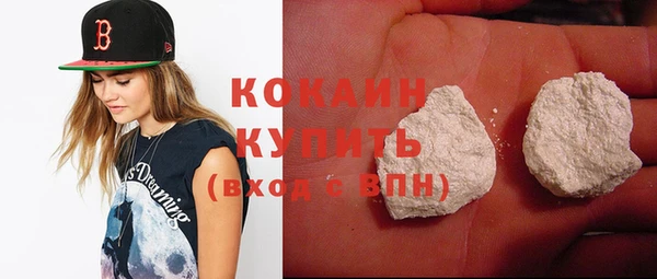шишки Беломорск