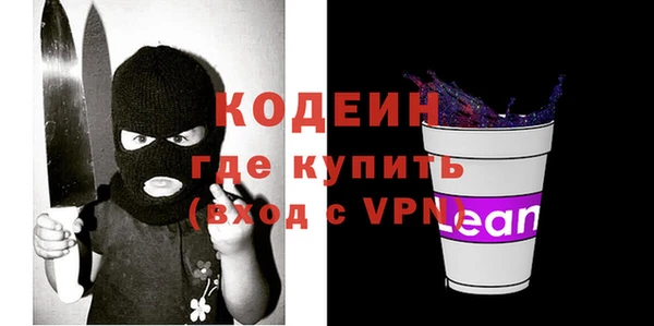 шишки Белоозёрский