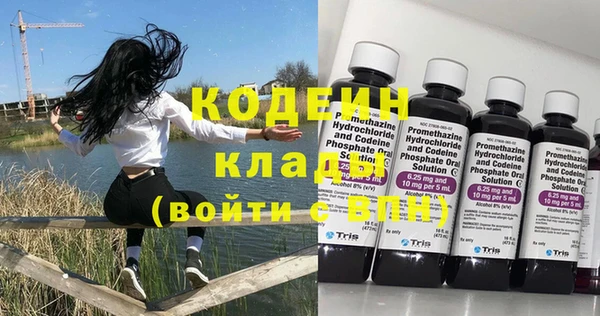 PSILOCYBIN Богданович