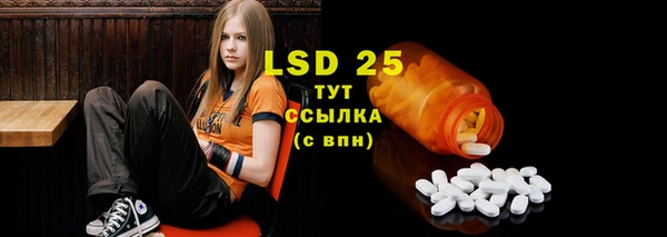 ECSTASY Белокуриха