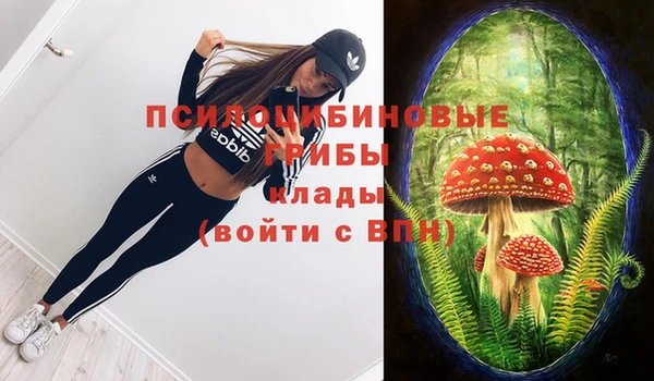 ECSTASY Белокуриха