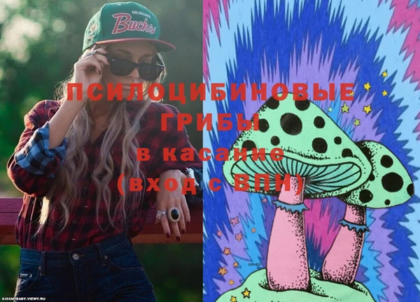 дурь Богородицк