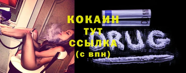 шишки Белоозёрский