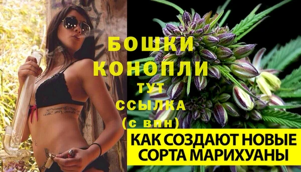 дурь Богородицк