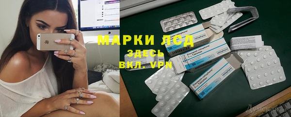 PSILOCYBIN Богданович